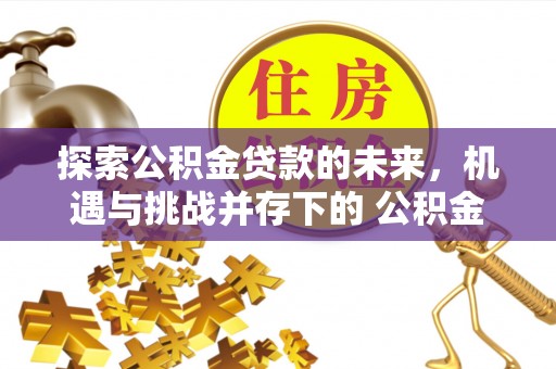 上街探索公积金贷款的未来，机遇与挑战并存下的 公积金贷款风险防控