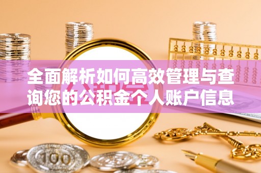 上街全面解析如何高效管理与查询您的公积金个人账户信息