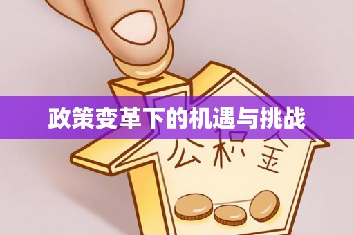 上街政策变革下的机遇与挑战