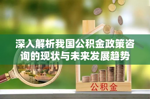 上街深入解析我国公积金政策咨询的现状与未来发展趋势