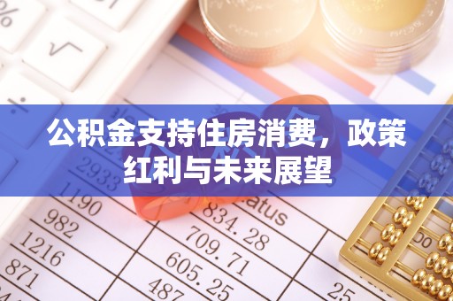 上街公积金支持住房消费，政策红利与未来展望