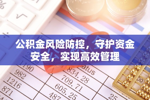 上街公积金风险防控，守护资金安全，实现高效管理