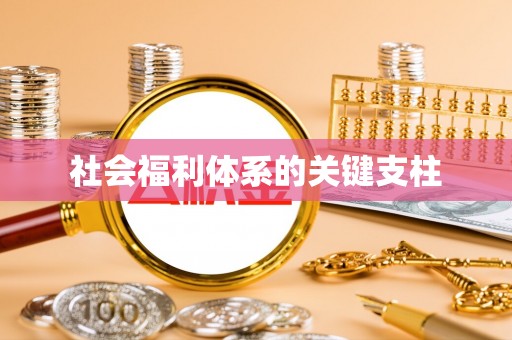 上街社会福利体系的关键支柱