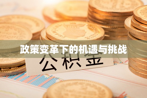上街政策变革下的机遇与挑战