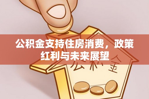 上街公积金支持住房消费，政策红利与未来展望