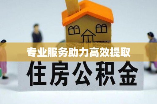 上街专业服务助力高效提取