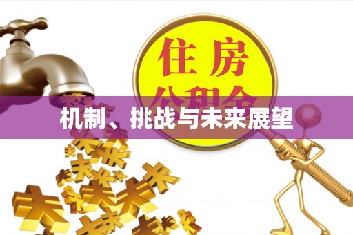 上街机制、挑战与未来展望