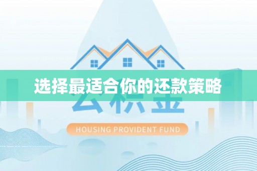 上街选择最适合你的还款策略