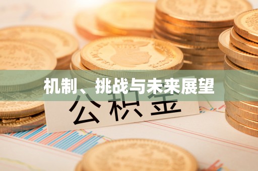 上街机制、挑战与未来展望